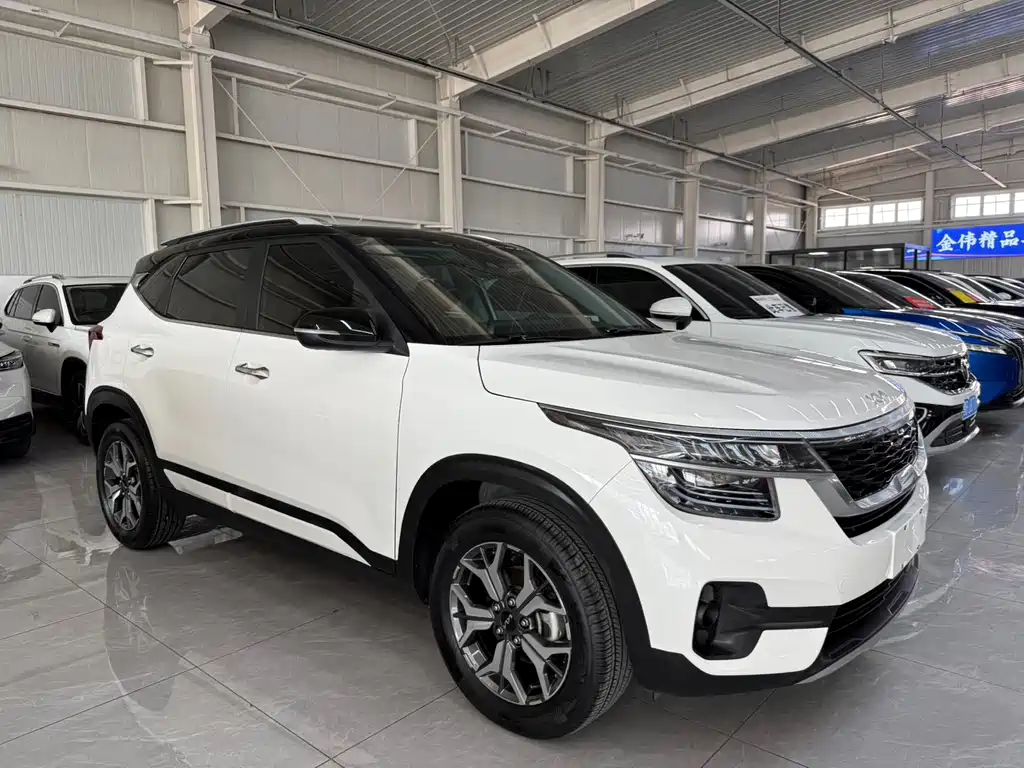 KX3 Propao 2021 1.5L CVT refreshed version купить на сайте DeffCars