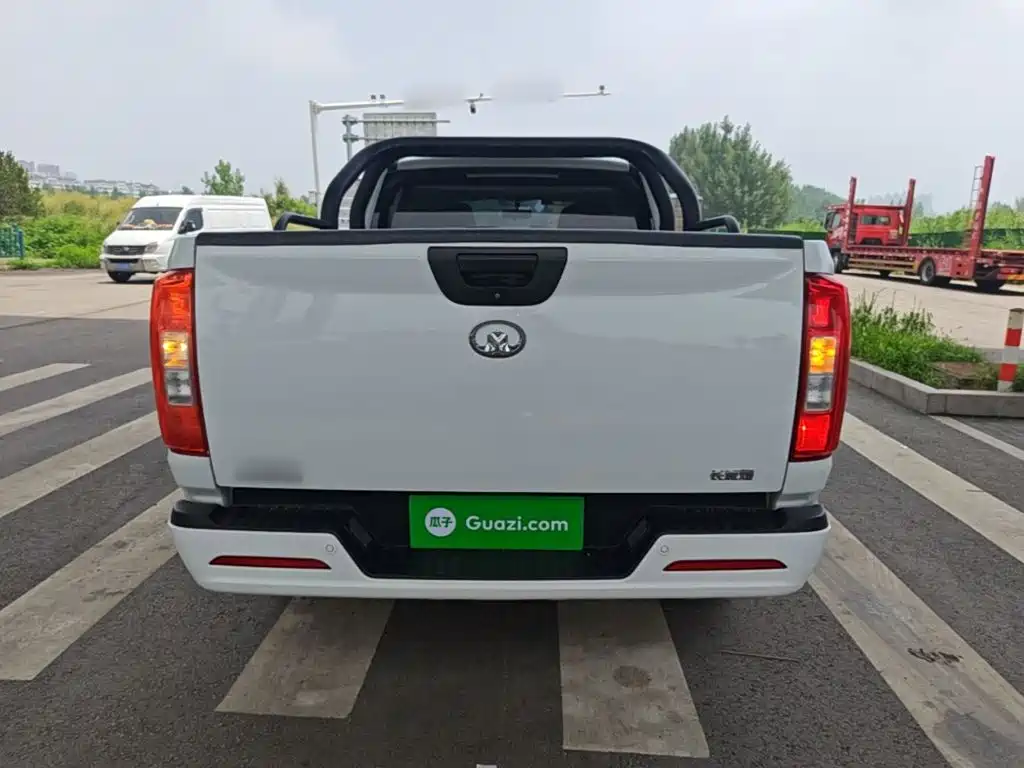 Cannon (Poer) 2019 2.0T Commercial Manual Diesel 2WD Elite Long Case GW4D20M купить на сайте DeffCars