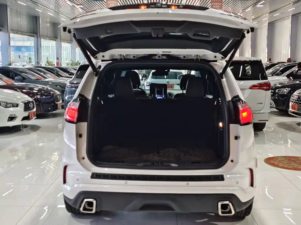 Ruijie 2020 EcoBoost 245 four-wheel drive ST-Line 7-seater купить на сайте DeffCars