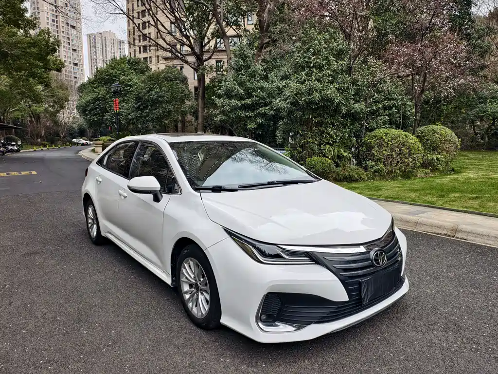 Asia Lion 2021 2.0L Deluxe Edition купить на сайте DeffCars