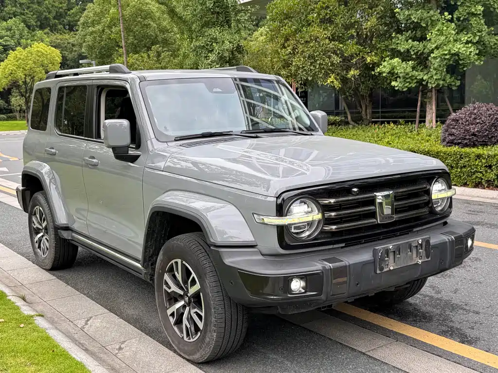 Tank 300 2021 City Edition 2.0T Very Stylish купить на сайте DeffCars