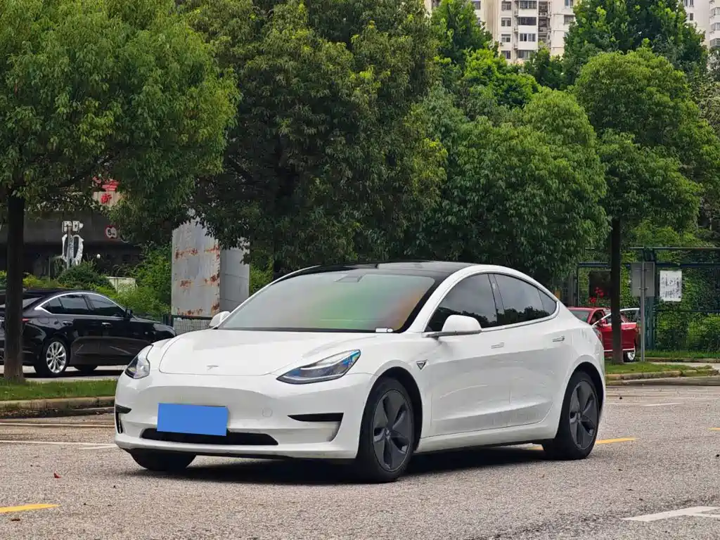 Model 3 2020 Standard Range Rear Drive Upgraded Version купить на сайте DeffCars