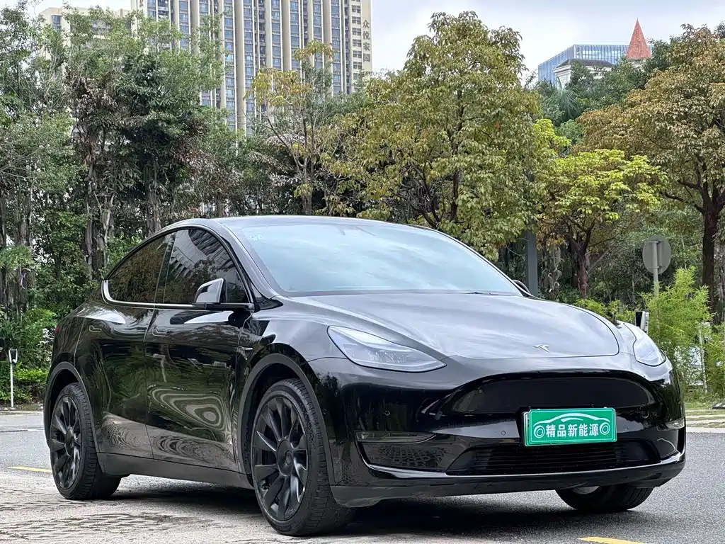 Model Y 2022 long-range all-wheel drive version купить на сайте DeffCars