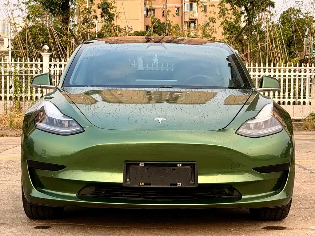 Model 3 2019 standard range rear drive upgraded version купить на сайте DeffCars