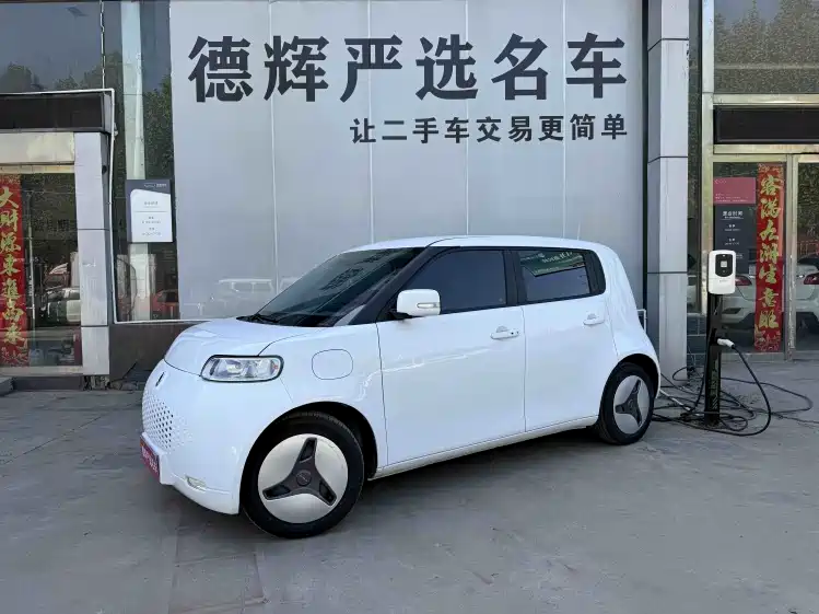 Euler White Cat 2020 360km Standard Type купить на сайте DeffCars