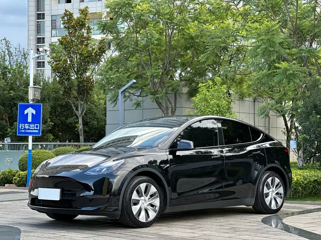 Model Y 2021 Standard Range Rear Drive Edition купить на сайте DeffCars