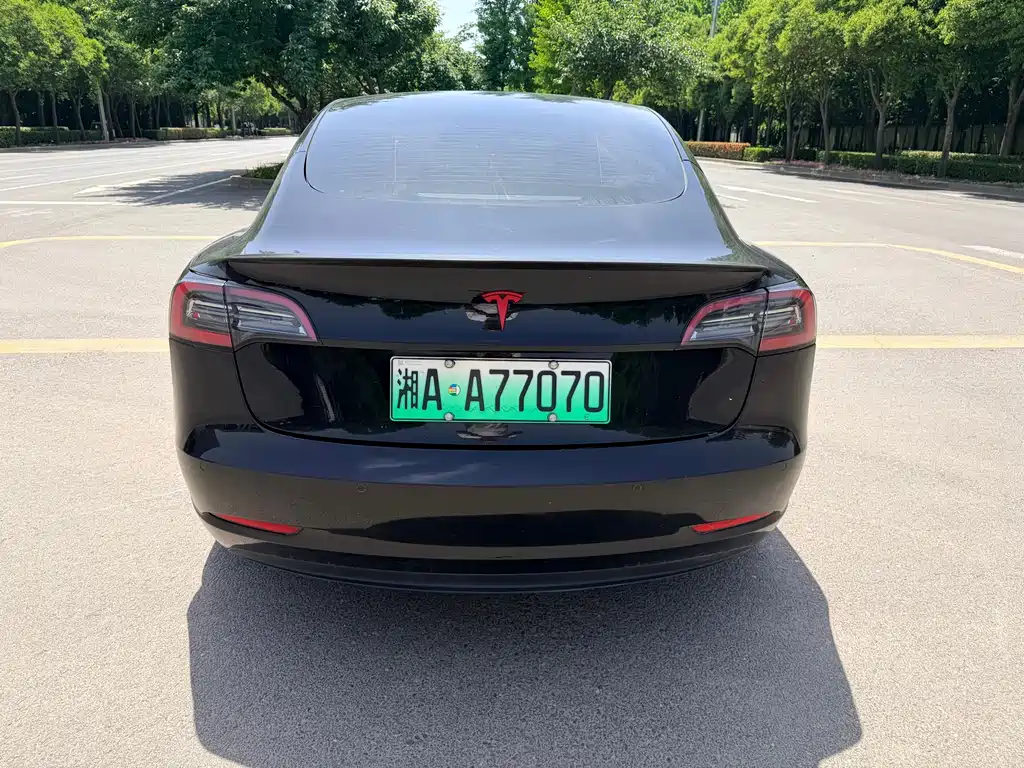 Model 3 2022 Performance high-performance all-wheel drive version купить на сайте DeffCars