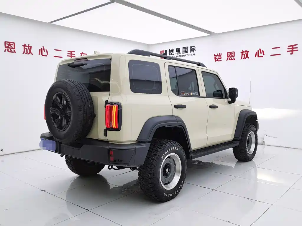 Tank 300 2025 2.4T diesel version купить на сайте DeffCars