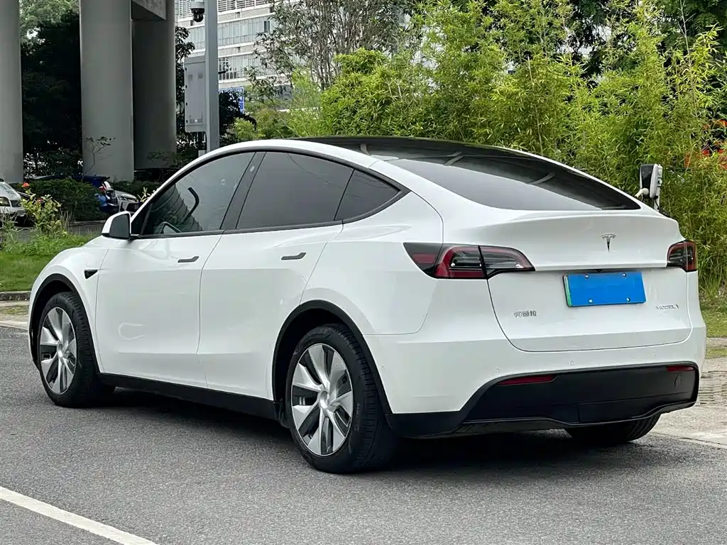 Model Y 2022 rear-wheel drive version купить на сайте DeffCars