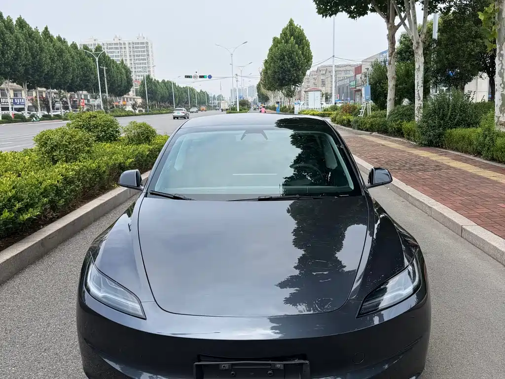 Model 3 2025 long-range all-wheel drive version купить на сайте DeffCars