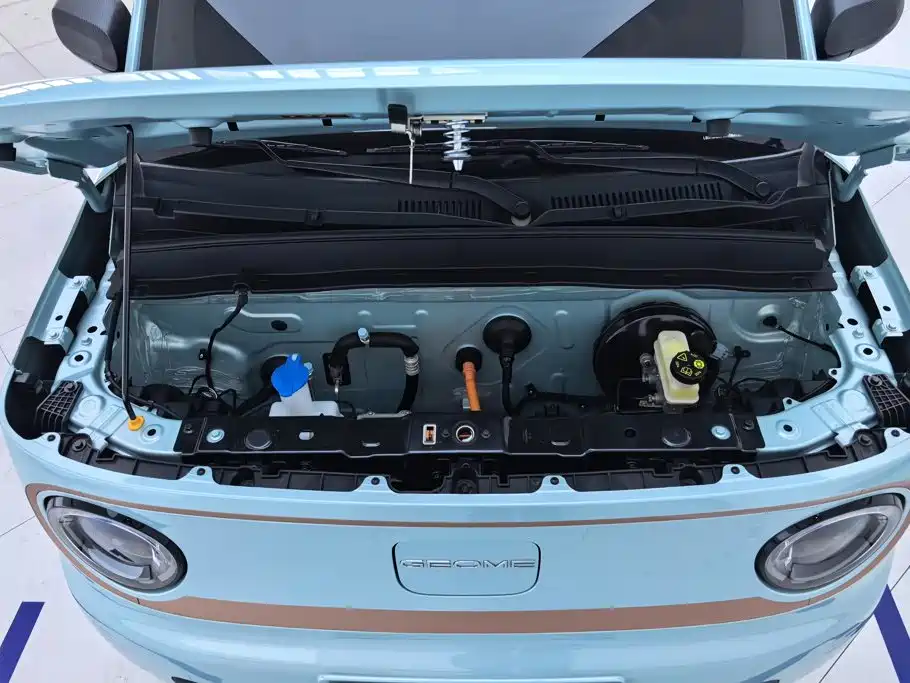 Panda 2024 Panda mini 200km endurance bear купить на сайте DeffCars
