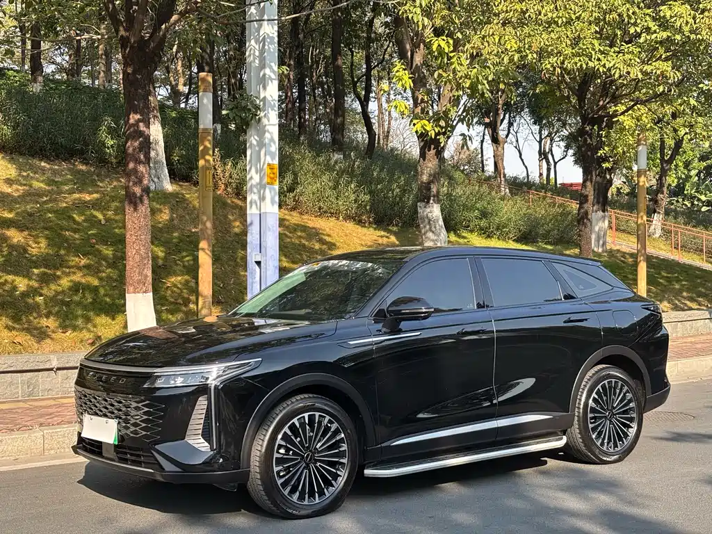 Yaoguang C-DM 2024 1.5T long battery life Pro купить на сайте DeffCars