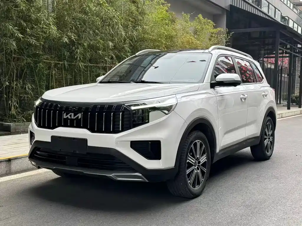 Zhipao 2021 Ace 2.0L Wonderful Edition купить на сайте DeffCars