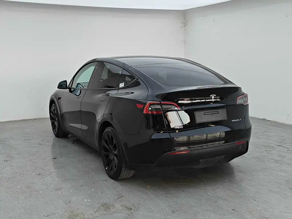 Model Y 2021 standard range rear-wheel drive version купить на сайте DeffCars