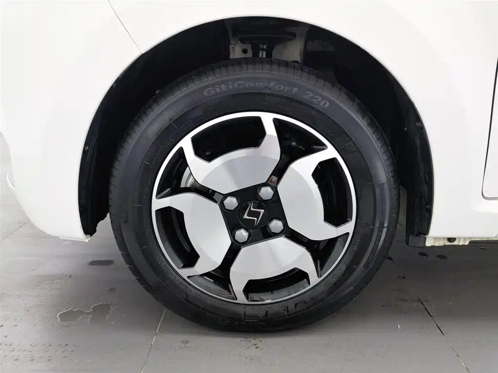 Flower Fairy 2022 Flower Fairy Style Gypsophila купить на сайте DeffCars