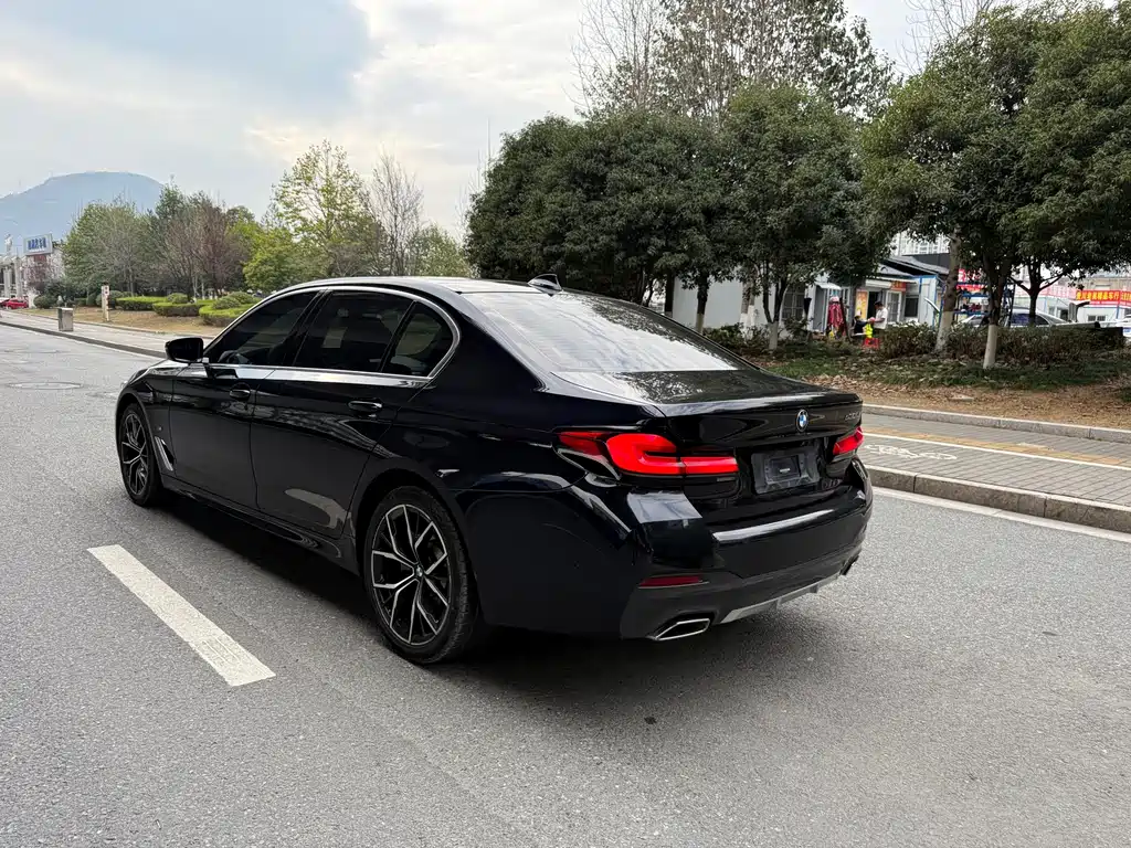 BMW 5 Series 2021 530Li Exclusive M Sports Package купить на сайте DeffCars