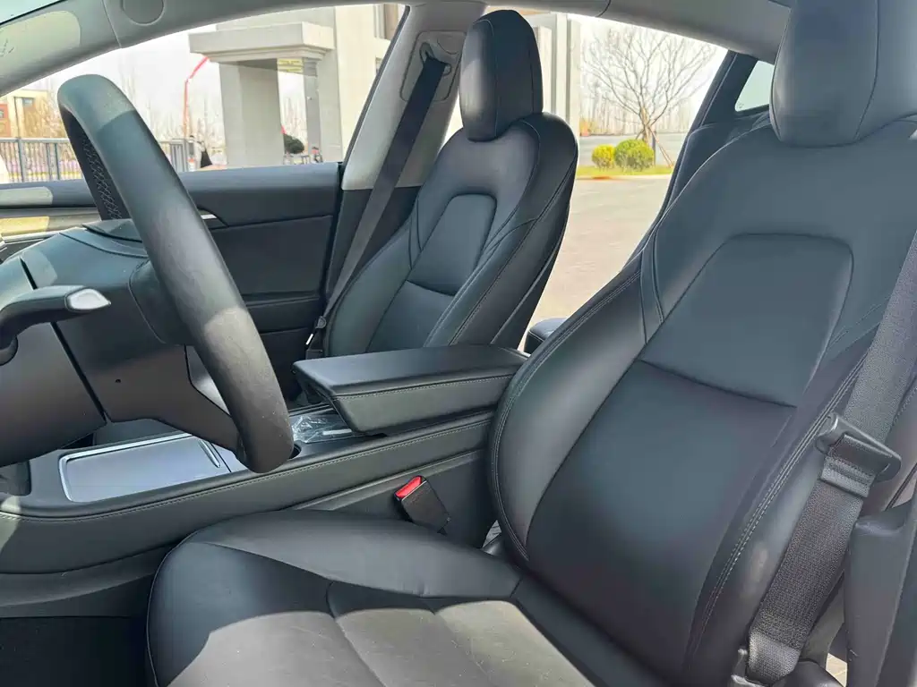 Model 3 2020 facelift standard range rear drive upgraded version купить на сайте DeffCars