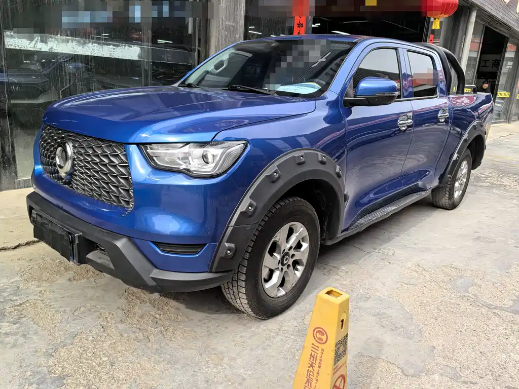 Cannon 2021 2.0T commercial version manual diesel two-wheel drive elite long box GW4D20M купить на сайте DeffCars