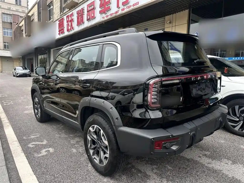 Havaldog 2024 2.0T DCT Chinese Pastoral Dog Edition купить на сайте DeffCars