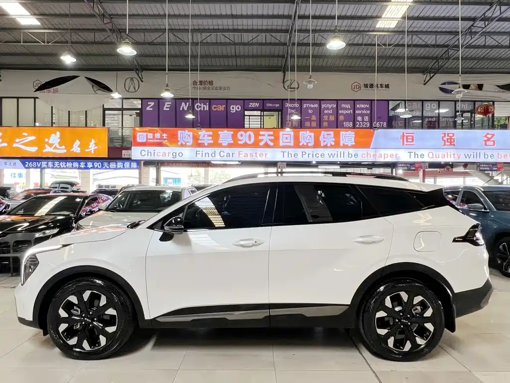 Lion Platinum Extends the World 2023 2.0T Two-wheel Drive Premium Edition купить на сайте DeffCars