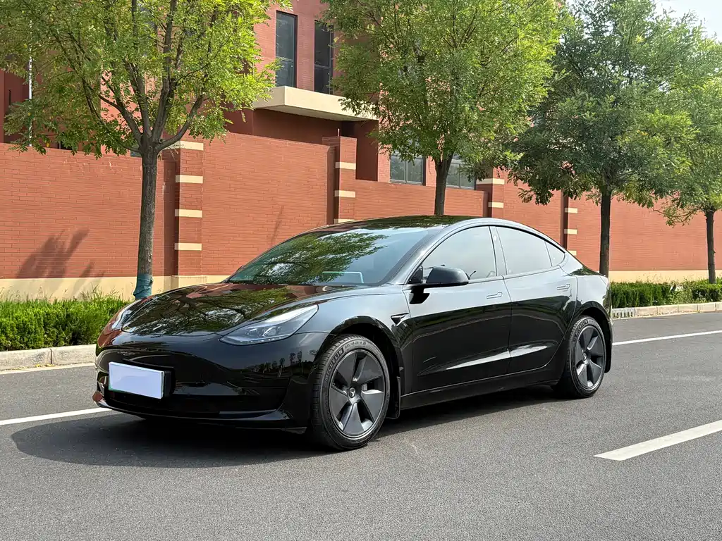 Model 3 2022 rear-wheel drive version купить на сайте DeffCars
