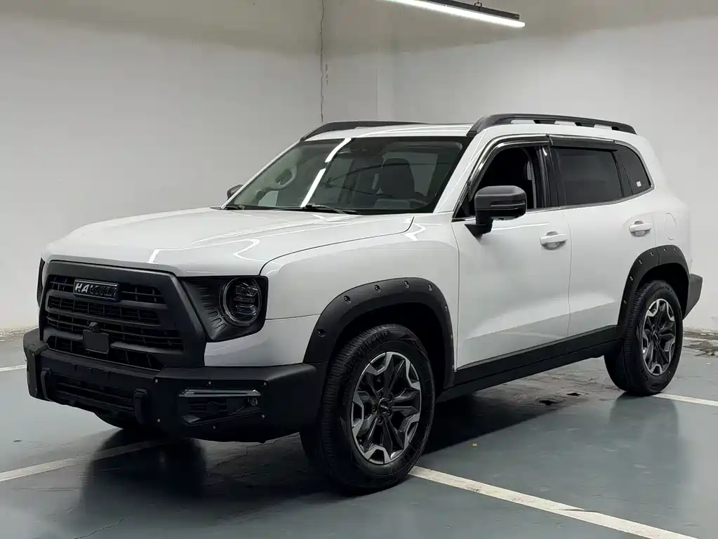 Havaldog 2022 2.0T DCT four-wheel drive Chinese pastoral dog hunting version купить на сайте DeffCars