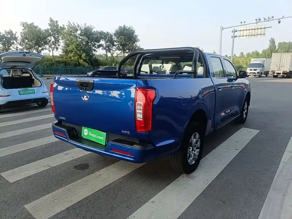 Cannon 2021 2.0T commercial version manual diesel two-wheel drive elite long box GW4D20M купить на сайте DeffCars