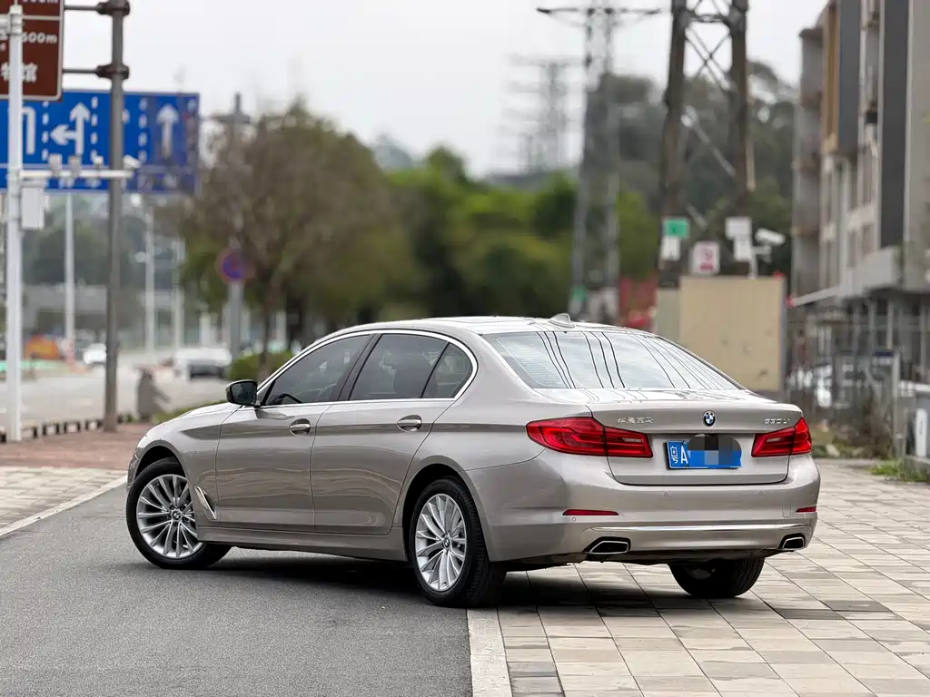 BMW 5 Series 2020 530Li Leading Luxury Package купить на сайте DeffCars