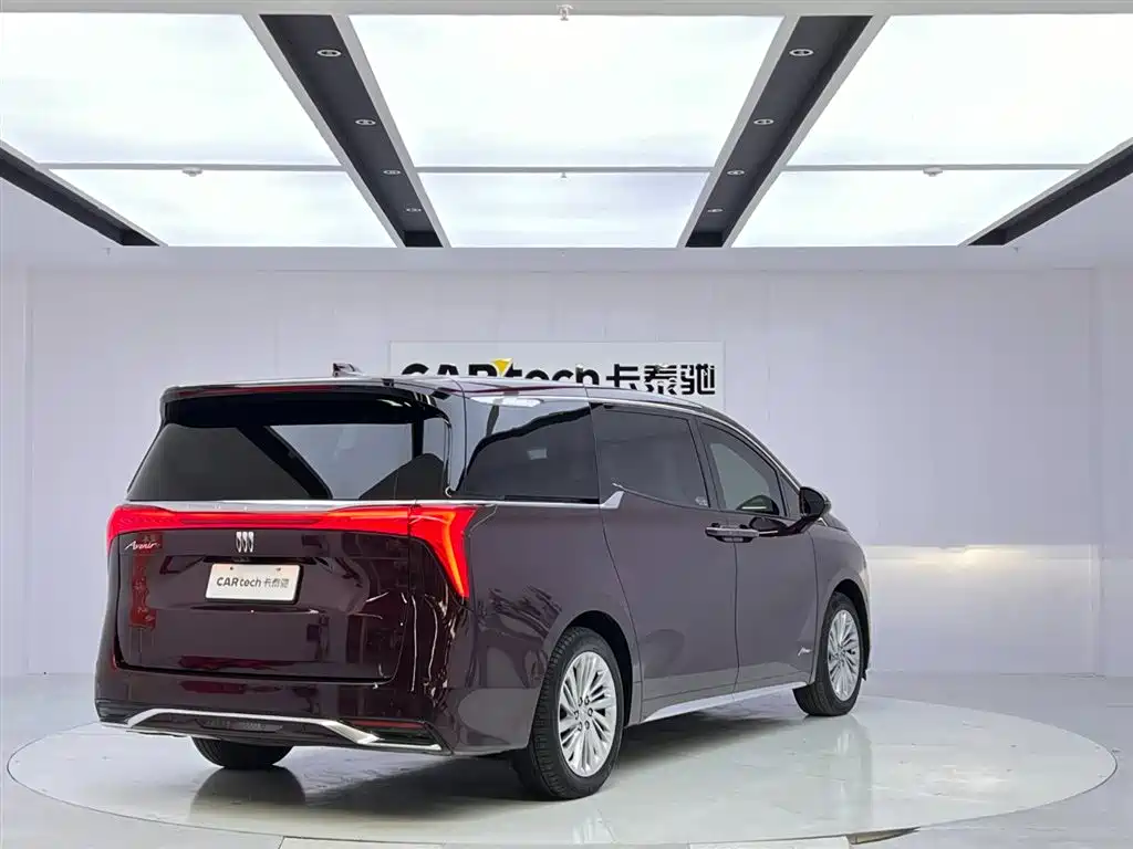Century 2023 2.0T Six-seater Yuanshi Edition купить на сайте DeffCars