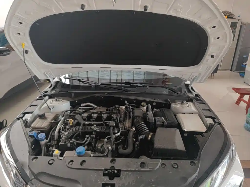 Eado 2025 Blue Whale 1.5T 500Bar Premium Type купить на сайте DeffCars