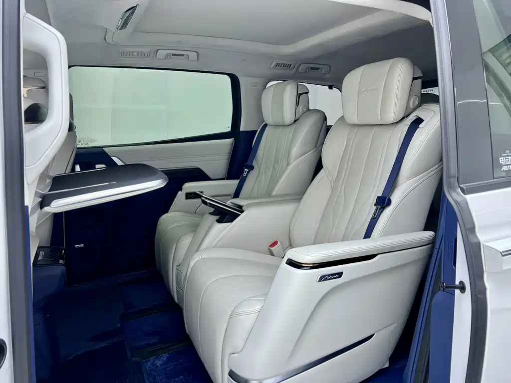 Century 2023 2.0T Six-seater Yuanshi Edition купить на сайте DeffCars