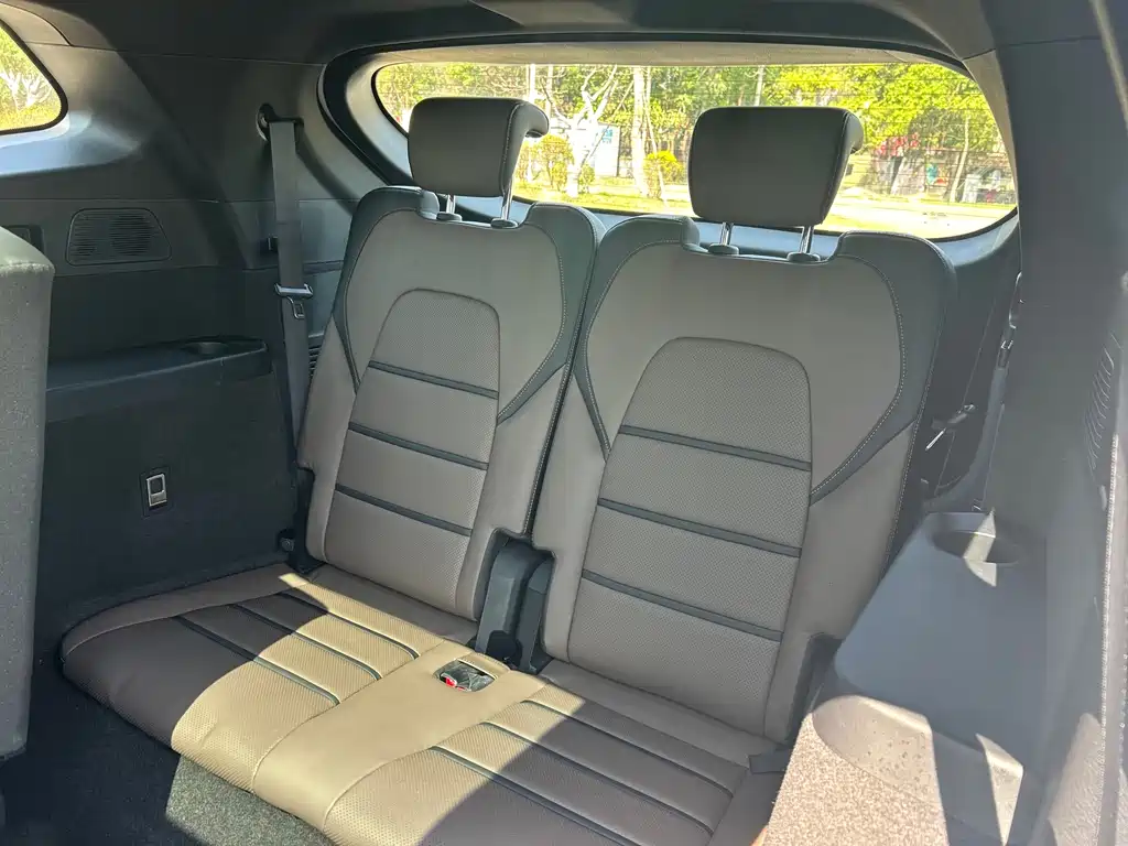 Tang 2021 2.0T automatic flagship model купить на сайте DeffCars