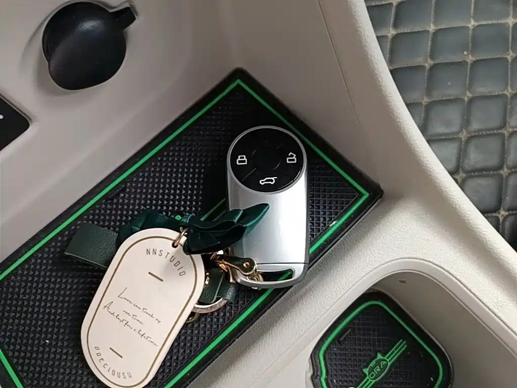 Euler Good Cat 2021 model 400km standard battery life Athena version ternary lithium купить на сайте DeffCars