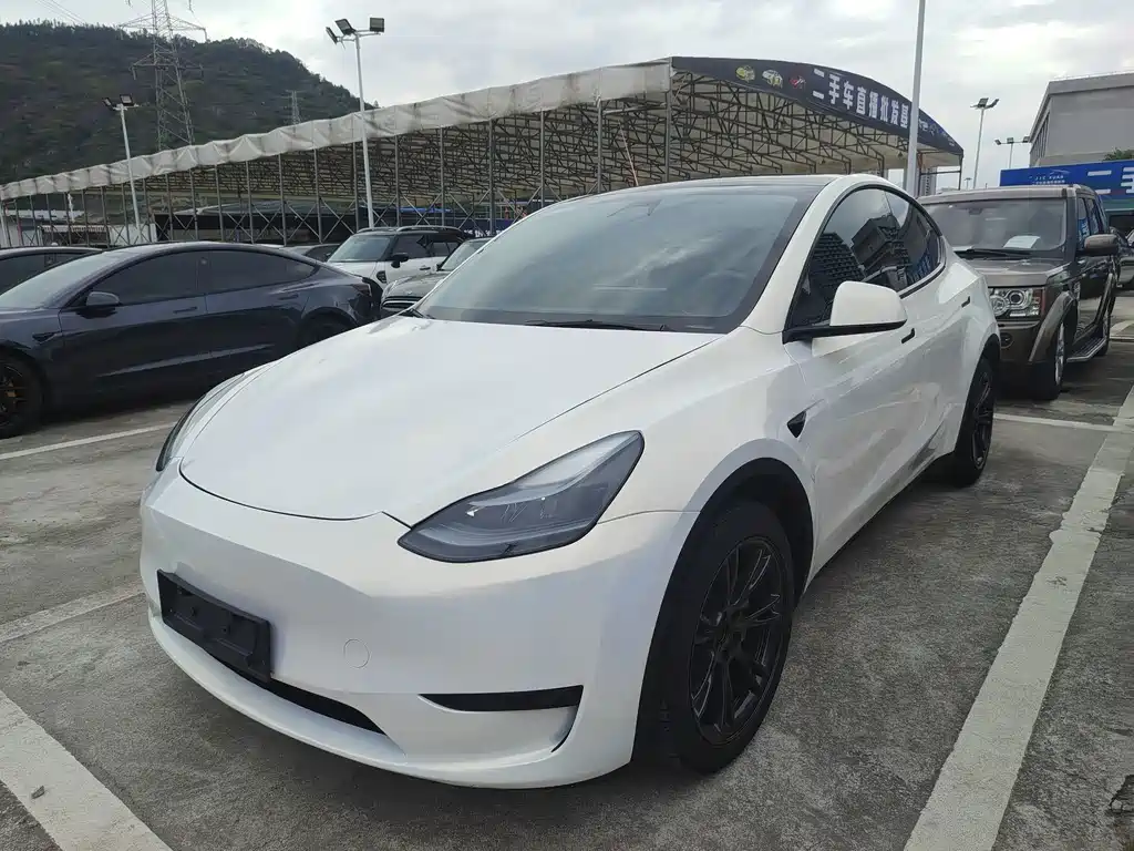 Model Y 2024 rear-wheel drive version купить на сайте DeffCars