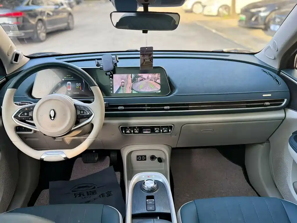 Euler Good Cat 2021 model 400km standard battery life Athena version ternary lithium купить на сайте DeffCars