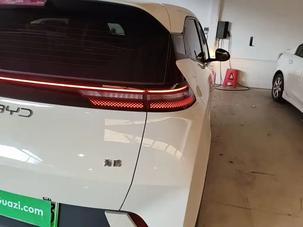 Seagull 2025 305km active version купить на сайте DeffCars