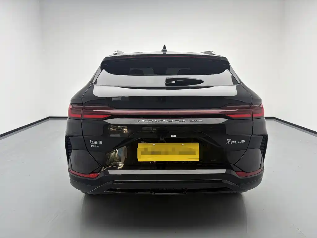 Song PLUS New Energy 2024 Honor Edition DM-i 110km flagship model купить на сайте DeffCars