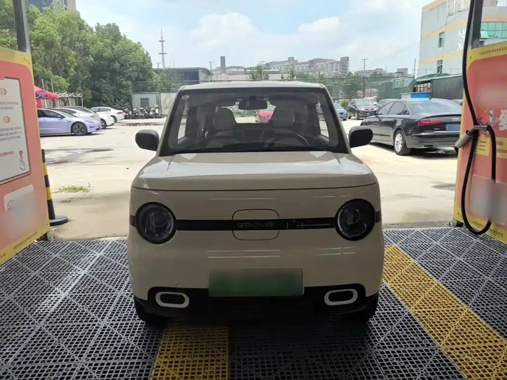 Panda (Geome) 2025 (Geome)mini 210km Yuan Qi Xiong купить на сайте DeffCars