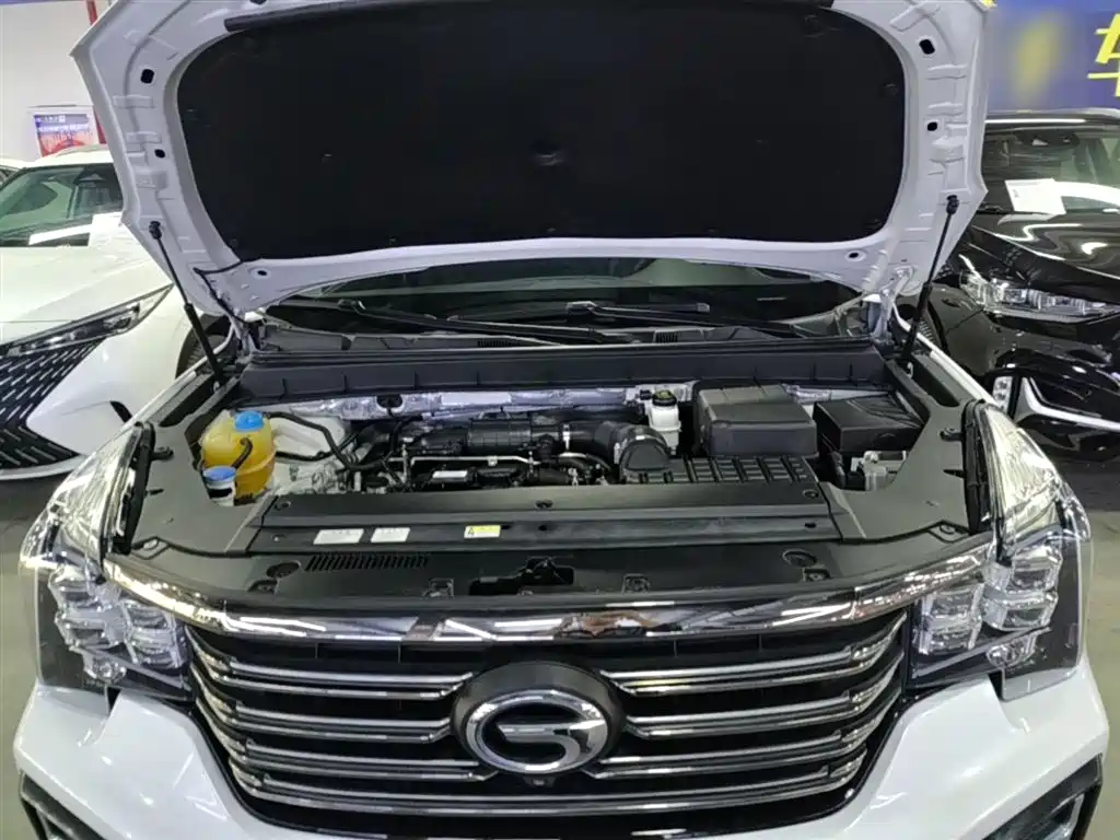 Trumpchi GS8 2020 390T 2WD Luxury Connected Edition (seven seats) купить на сайте DeffCars