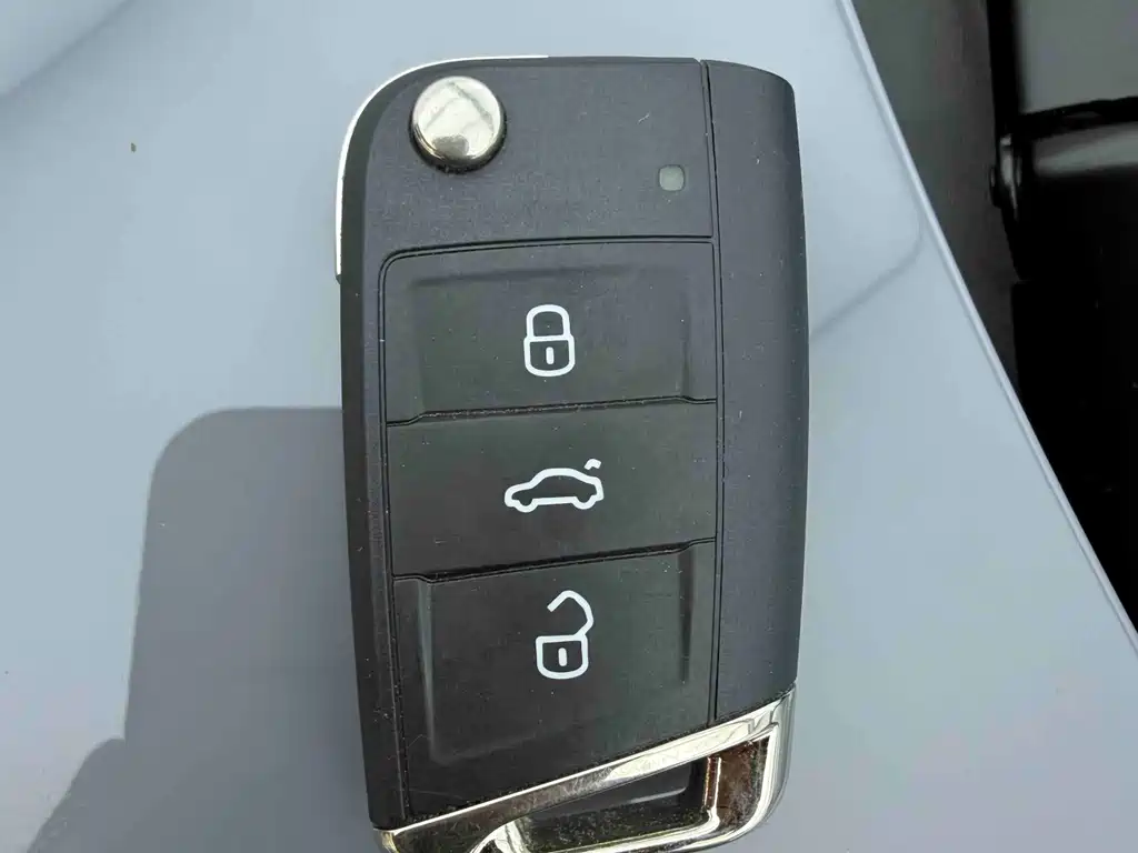 Tuyue 2025 Xinrui 300TSI Ruiyi Edition купить на сайте DeffCars
