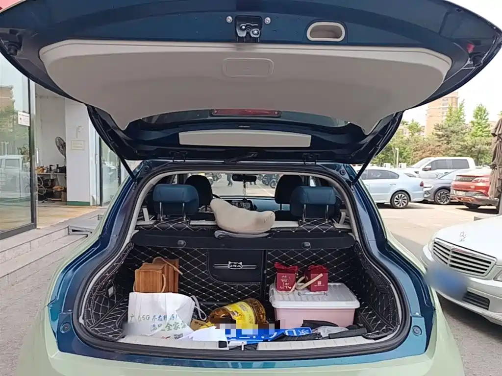 Euler Good Cat 2021 model 400km standard battery life Athena version ternary lithium купить на сайте DeffCars