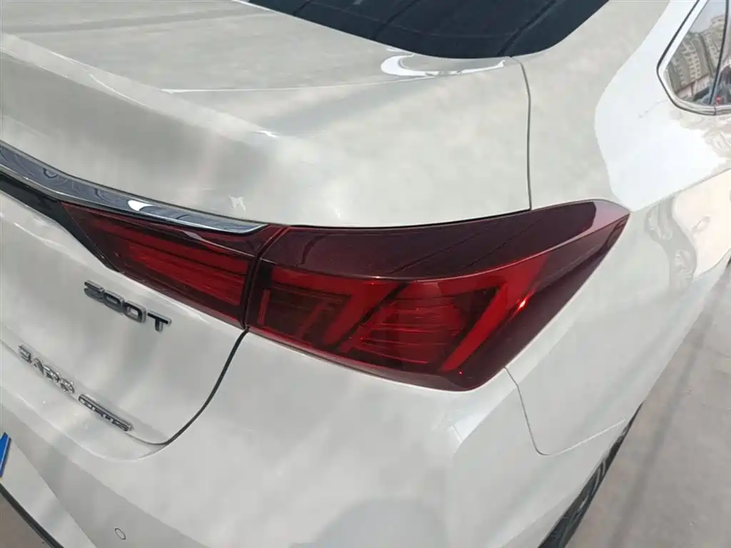 EADO 2021 PLUS Blue Whale NE 1.4T GDI DCT flagship model купить на сайте DeffCars