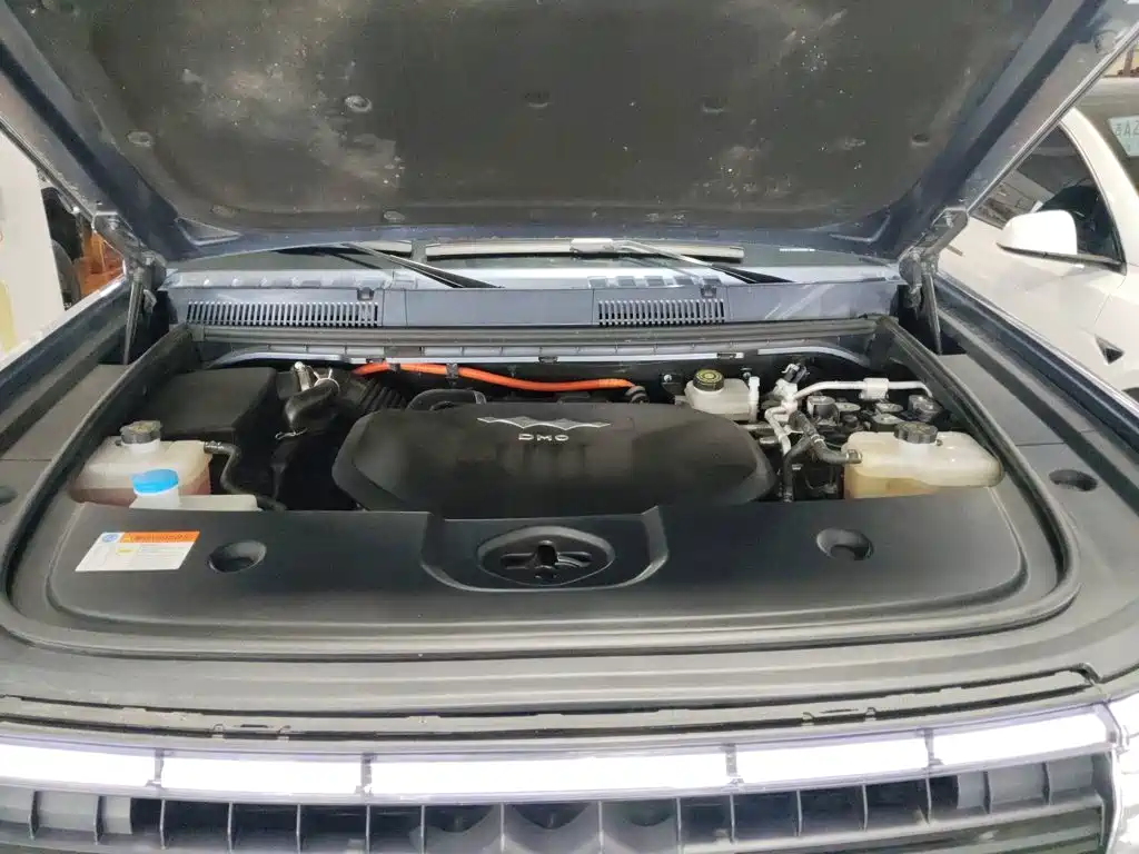 Leopard 5 2023 Yunnan flagship version купить на сайте DeffCars