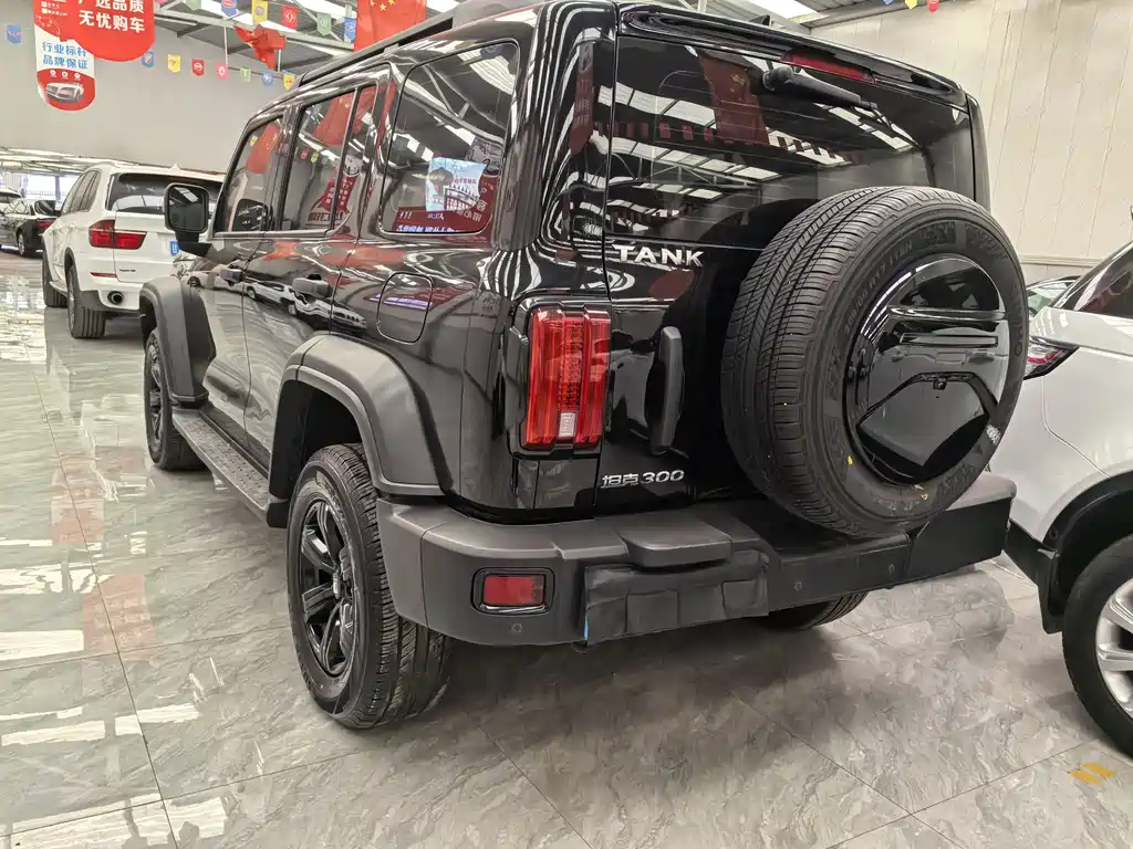 Tank 300 2023 Off-Road Version 2.0T Challenger купить на сайте DeffCars