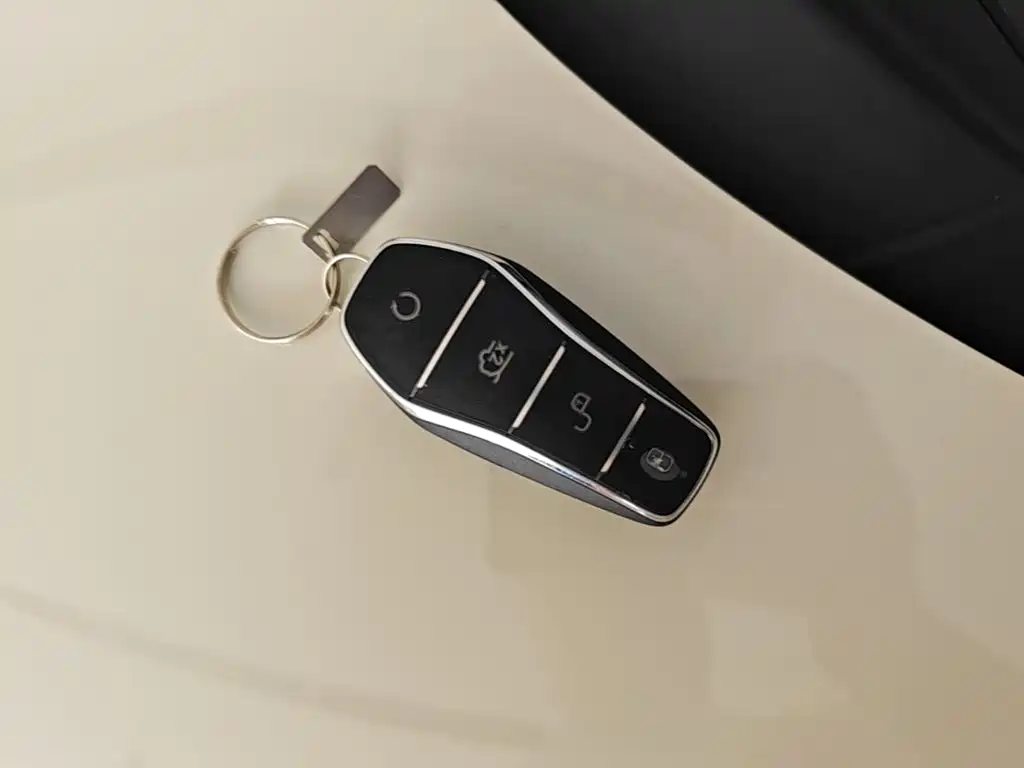 Seagull 2025 Smart Driving Edition 305km Vitality Edition купить на сайте DeffCars