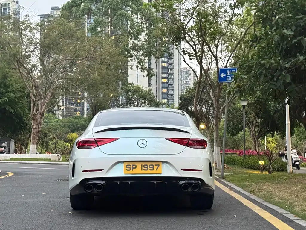 Mercedes-Benz CLS 2020 CLS 300 Dynamic купить на сайте DeffCars
