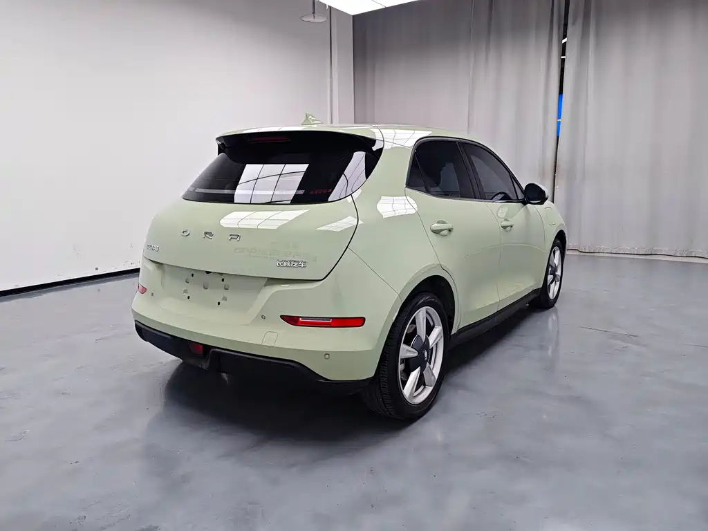 Euler Good Cat 2023 model 401km standard battery life luxury model lithium iron phosphate купить на сайте DeffCars