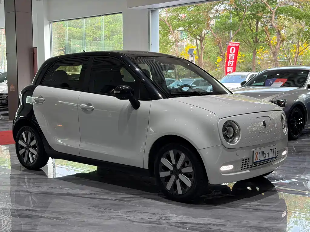 Euler Black Cat 2021 351km standard model купить на сайте DeffCars