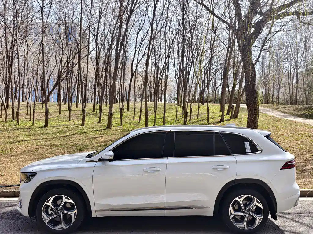 Xingyue L 2024 2.0TD DCT EVO two-wheel drive Changfeng version купить на сайте DeffCars