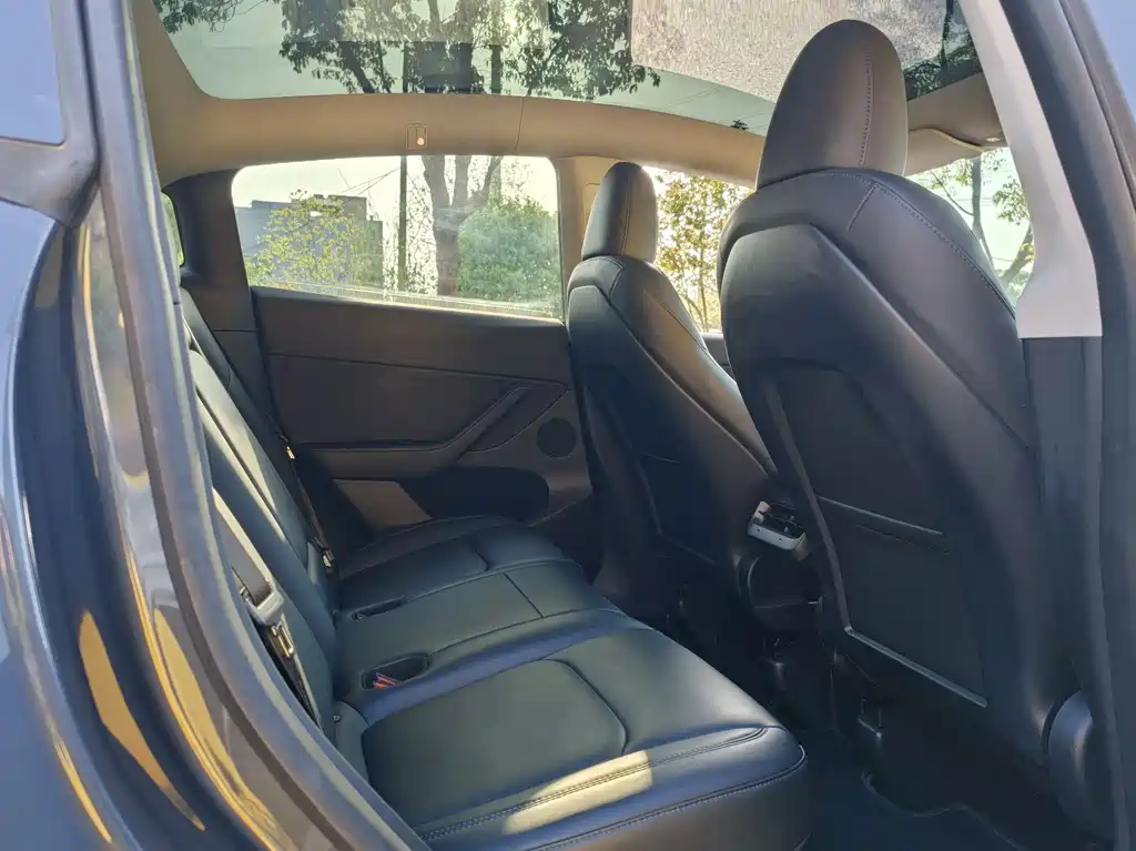 Model Y 2022 rear-wheel drive version купить на сайте DeffCars